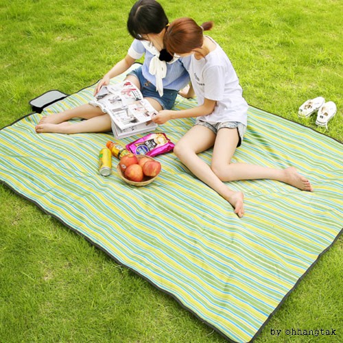 Waterproof mat with handle