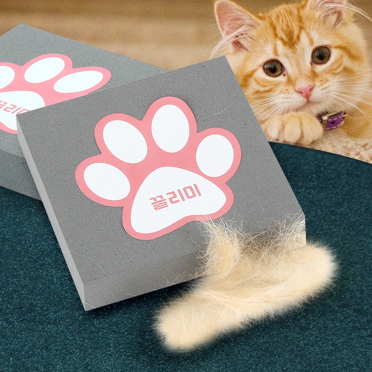 Cat hair removal vacuum cleaner dog hair removal dog hair removal management