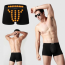 Men's Male Panties Underwear Drawers Square Triangle Big Size