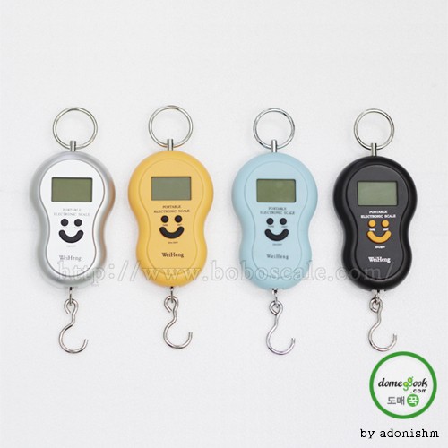 Portable Hand Scale Fishing Personal Hanging Scale Travel