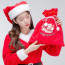 Santa's Gift Bag (Medium) Santa Bag Christmas Santa Costume Accessory
