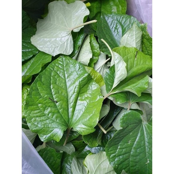 Whole wheat flour (100g)