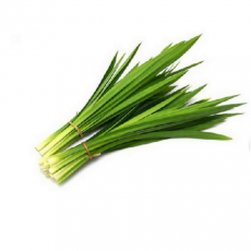 Panda leaf/fragrant vegetable 100g/la dua/panda leaf/Asia farm Song So-hee