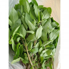 Hulapa (hung que) / Thai basil 100g / Asian farm Song So-hee
